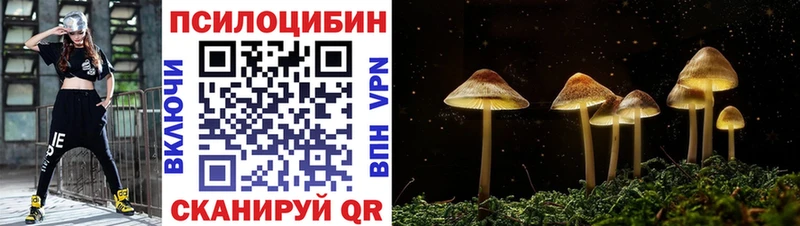 Псилоцибиновые грибы Psilocybe  где купить наркоту  Волгоград 